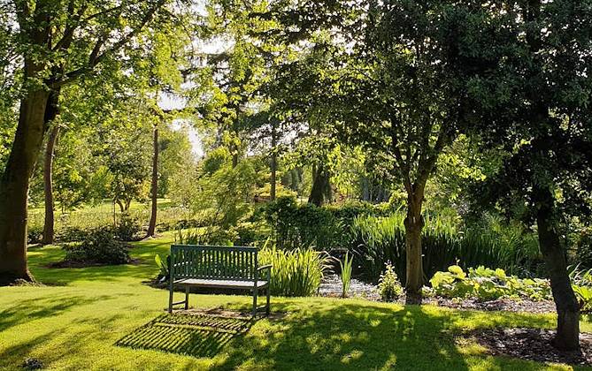Photo of Bluebell Arboretum and Nursery showing lush shady garden in summer with bench and pond